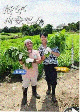 秋霞在线电影网 向往的生活 慢综艺